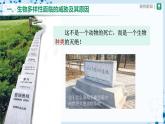 人教版八上生物  6.3 保护生物的多样性课件+教案+分层练习+学案