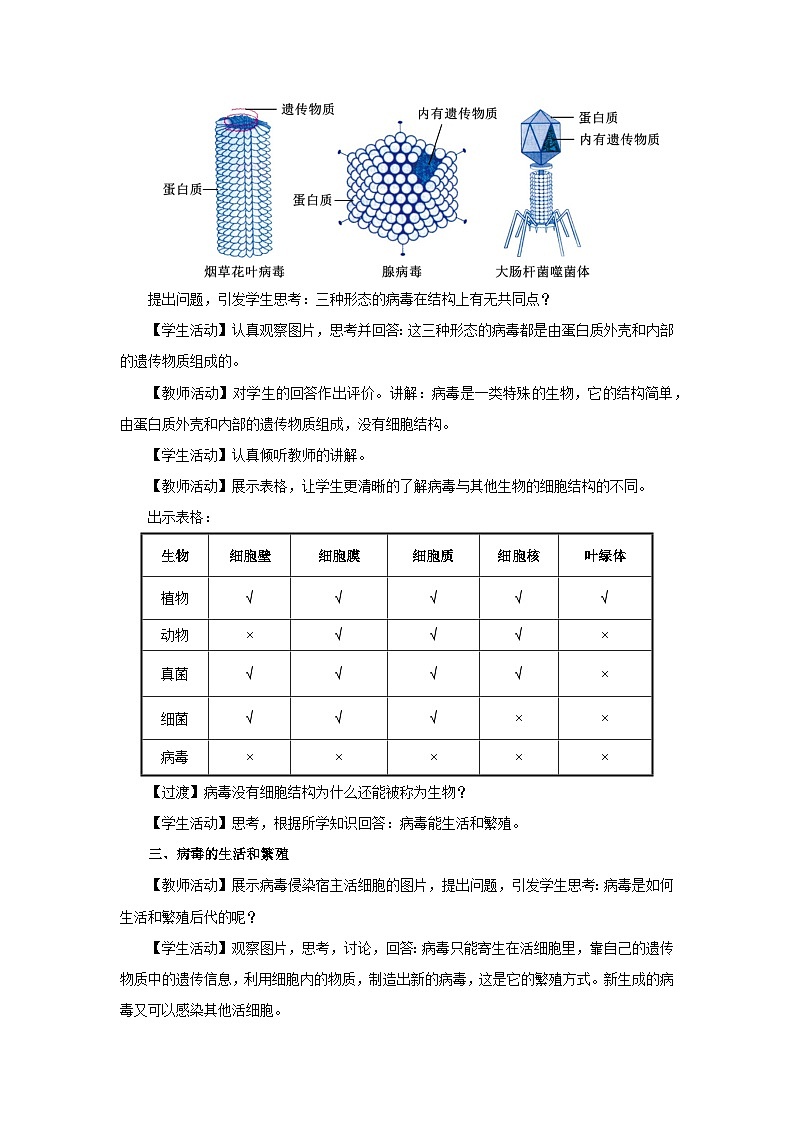 人教版八上生物  5.5 病毒课件+教案+分层练习+学案03