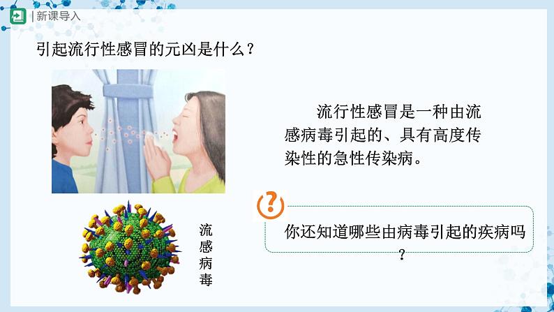 5.5 病毒（教学课件） 第2页