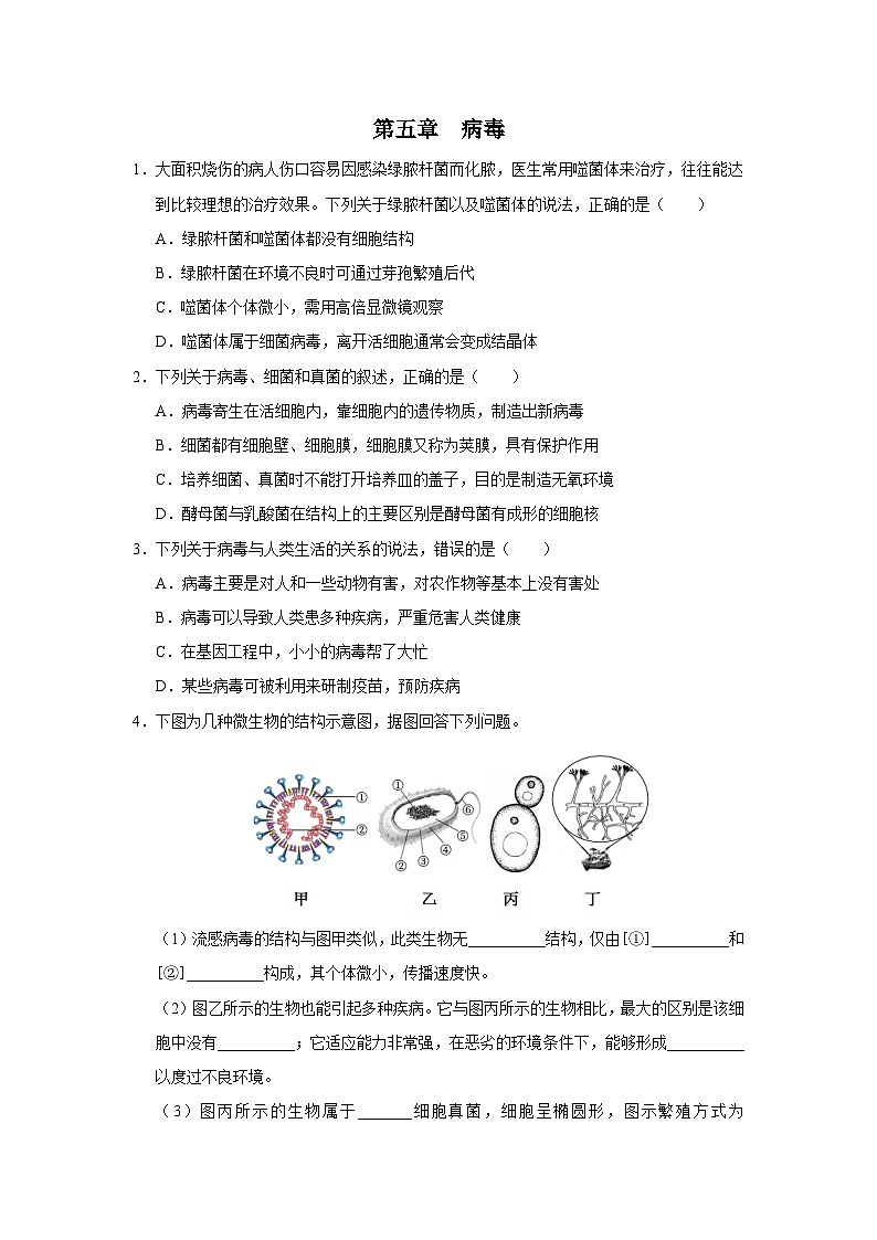 人教版八上生物  5.5 病毒课件+教案+分层练习+学案01