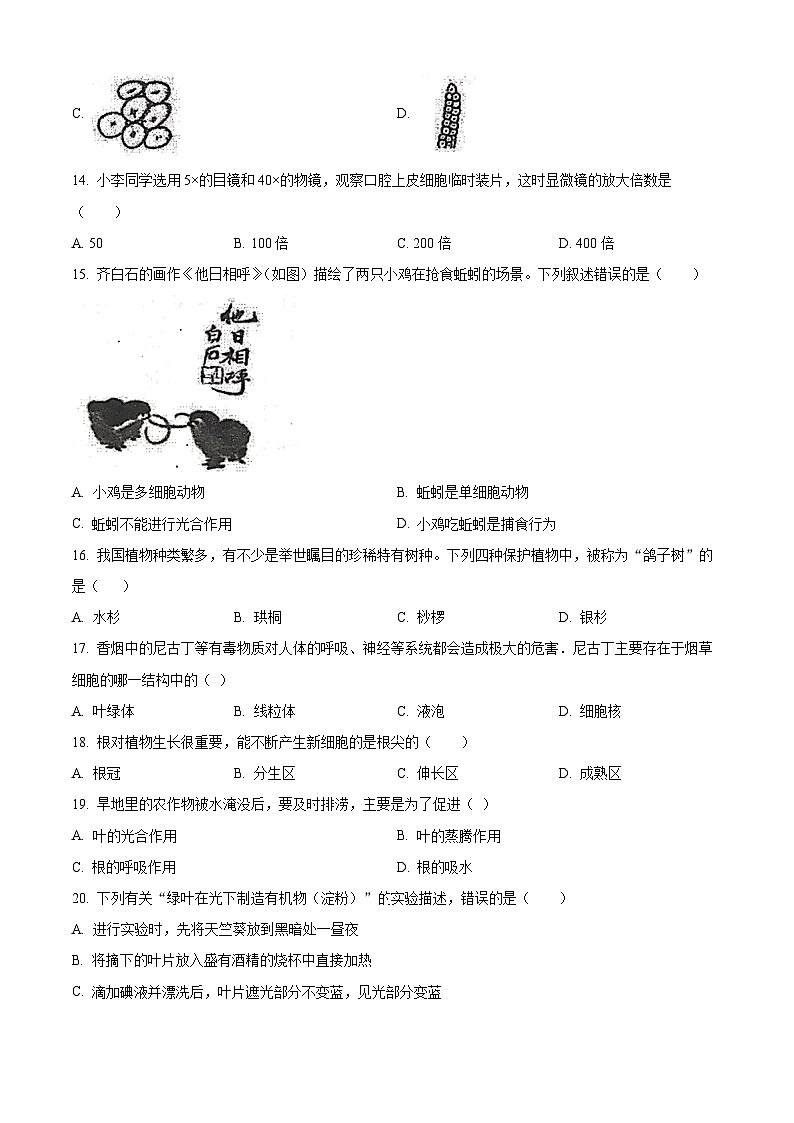 精品解析：广东省湛江市雷州市2023-2024学年七年级上学期期末生物试题（原卷版）第3页