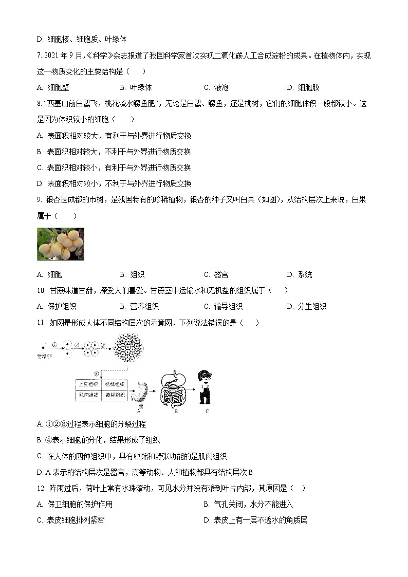 精品解析：四川省成都市高新技术产业开发区2023-2024学年七年级上学期期末生物试题（原卷版）第2页
