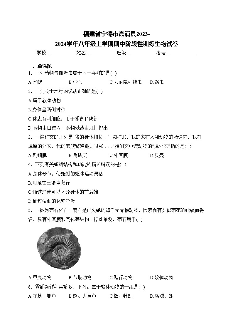 福建省宁德市霞浦县2023-2024学年八年级上学期期中阶段性训练生物试卷(含答案)01