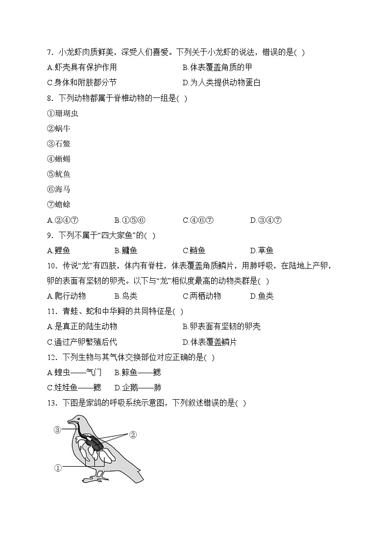 福建省宁德市霞浦县2023-2024学年八年级上学期期中阶段性训练生物试卷(含答案)02