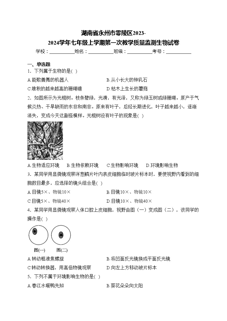 湖南省永州市零陵区2023-2024学年七年级上学期第一次教学质量监测生物试卷(含答案)01