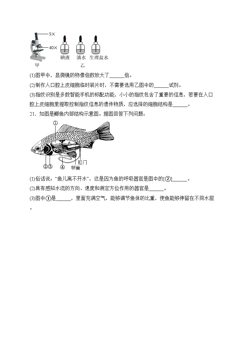 江苏省扬州市宝应县2022-2023学年七年级下学期期中测试生物试卷(含答案)03