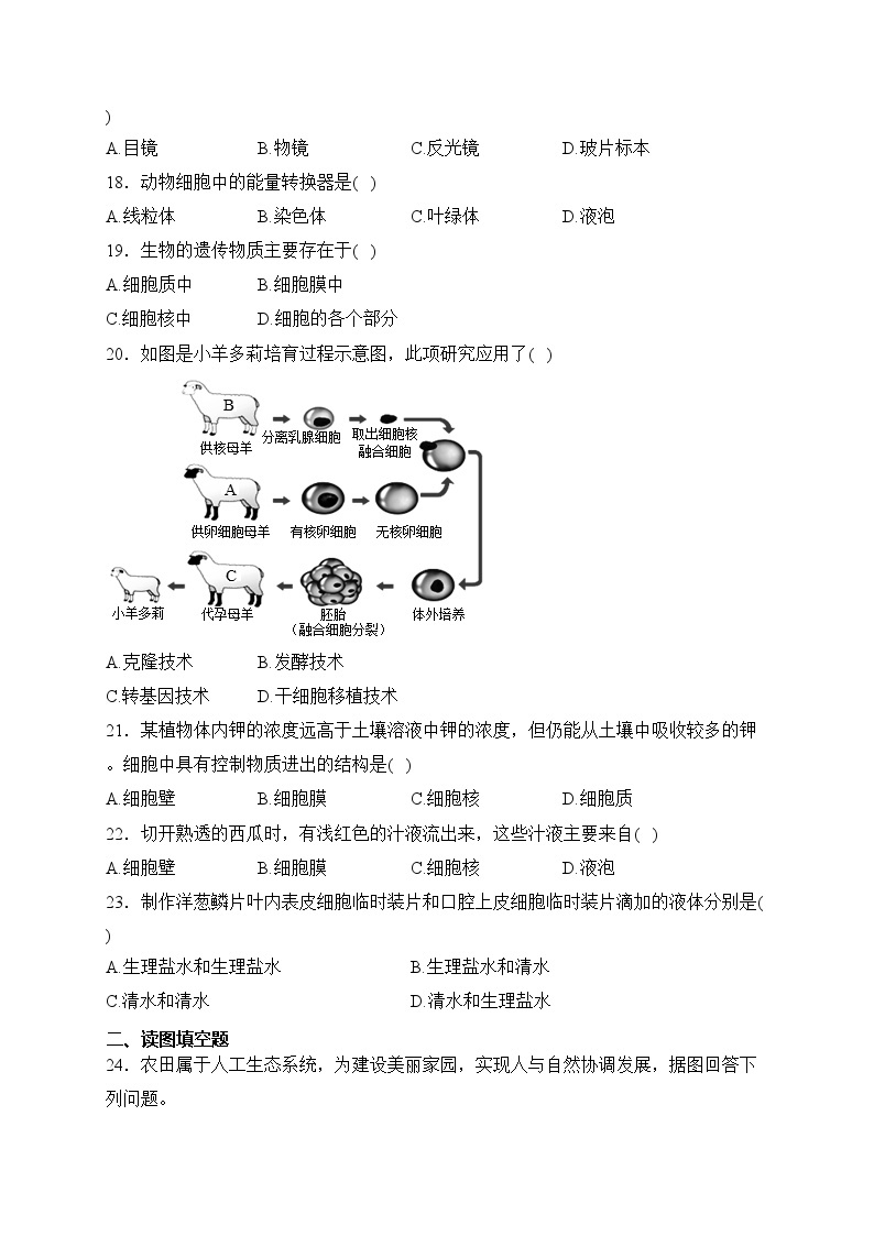 天津市宝坻区第八中学2023-2024学年七年级上学期10月月考生物试卷(含答案)03