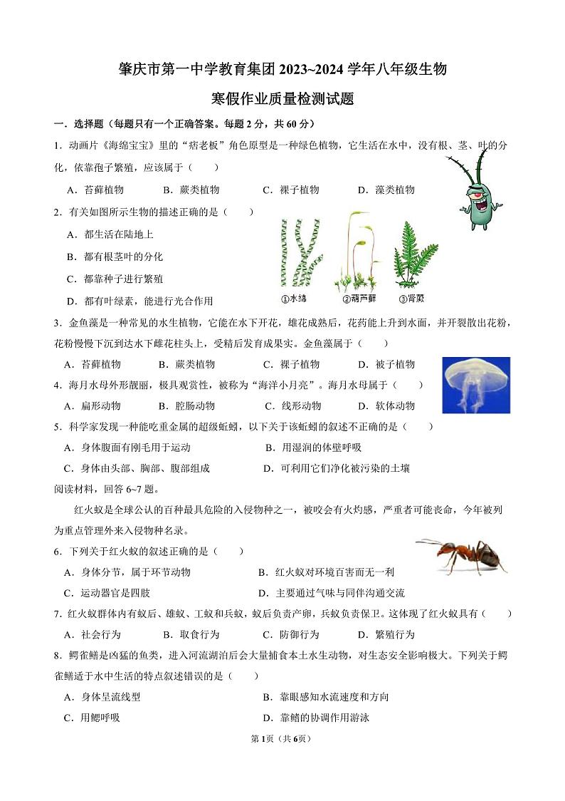 广东省肇庆市第一中学教育集团2023-2024学年下学期八年级寒假作业测试（开学考试）生物试题01