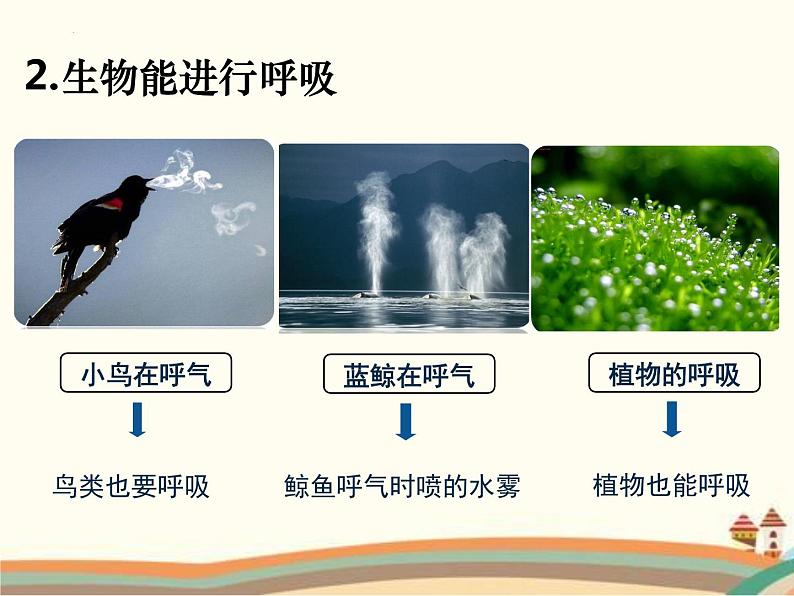 1.1.1++生物的特征++课件-2023-2024学年人教版生物七年级上册第7页