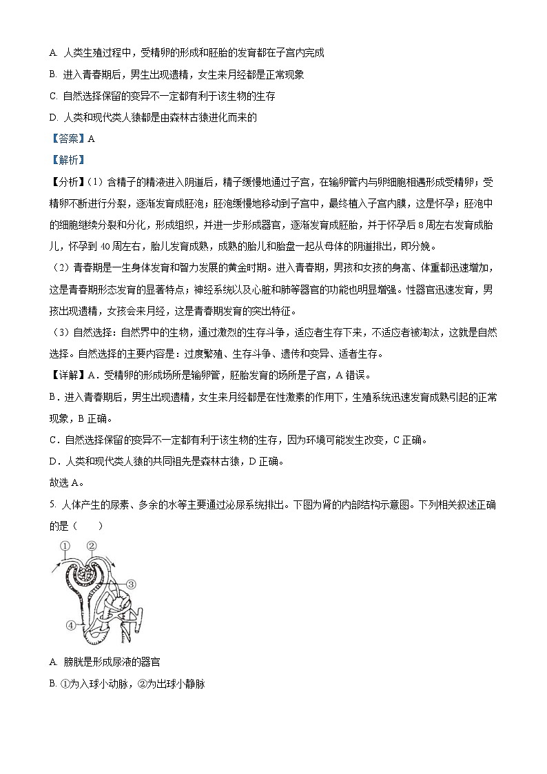 2023年湖北省咸宁市生物中考真题试题（含解析）03
