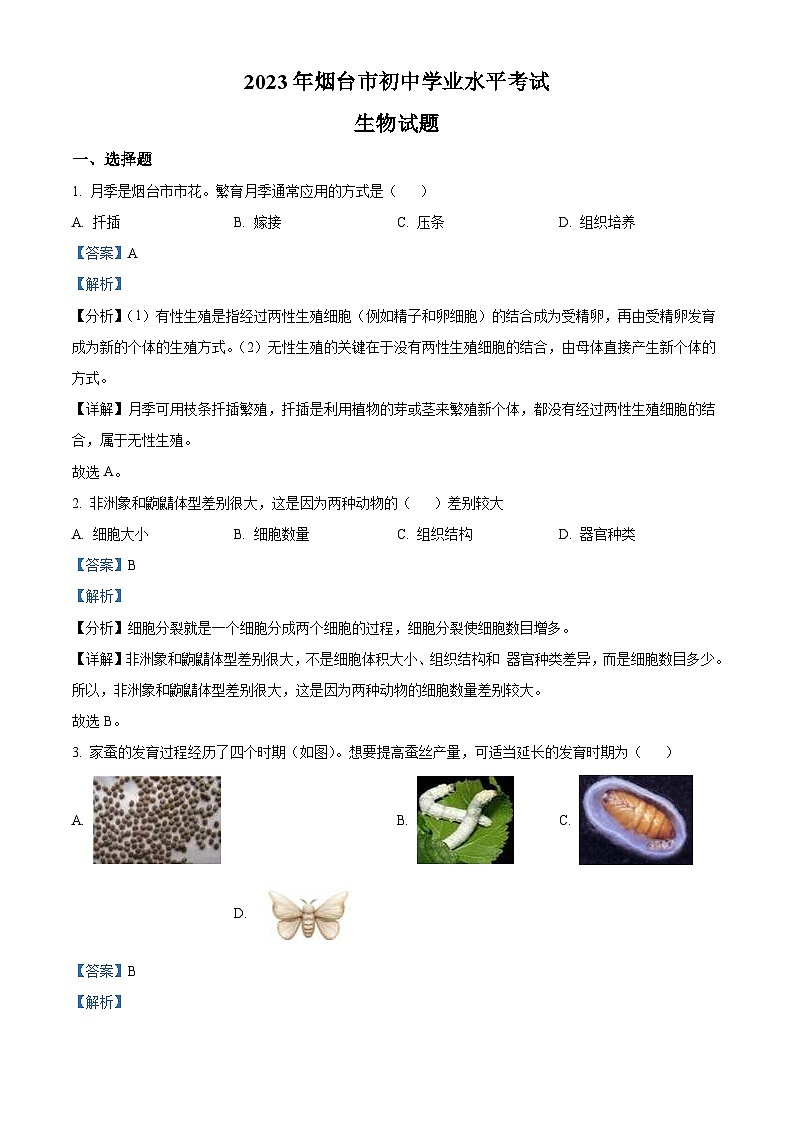 2023年山东省烟台市中考生物真题（含解析）01
