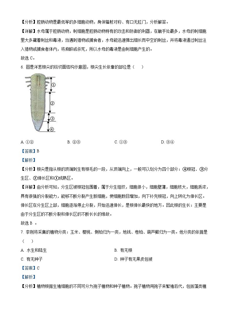 2023年山东省烟台市中考生物真题（含解析）03