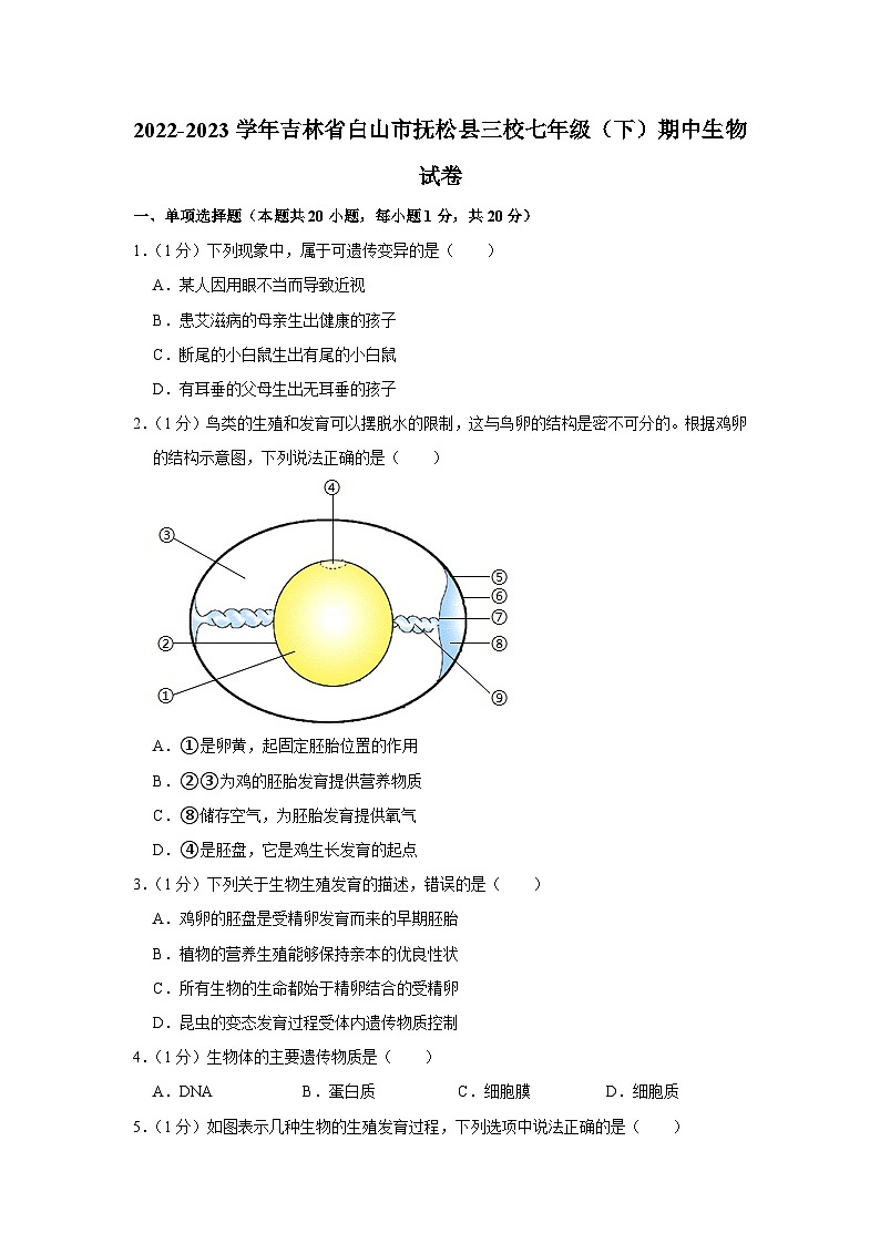 吉林省白山市抚松县三校2022-2023学年七年级下学期期中考试生物试卷01