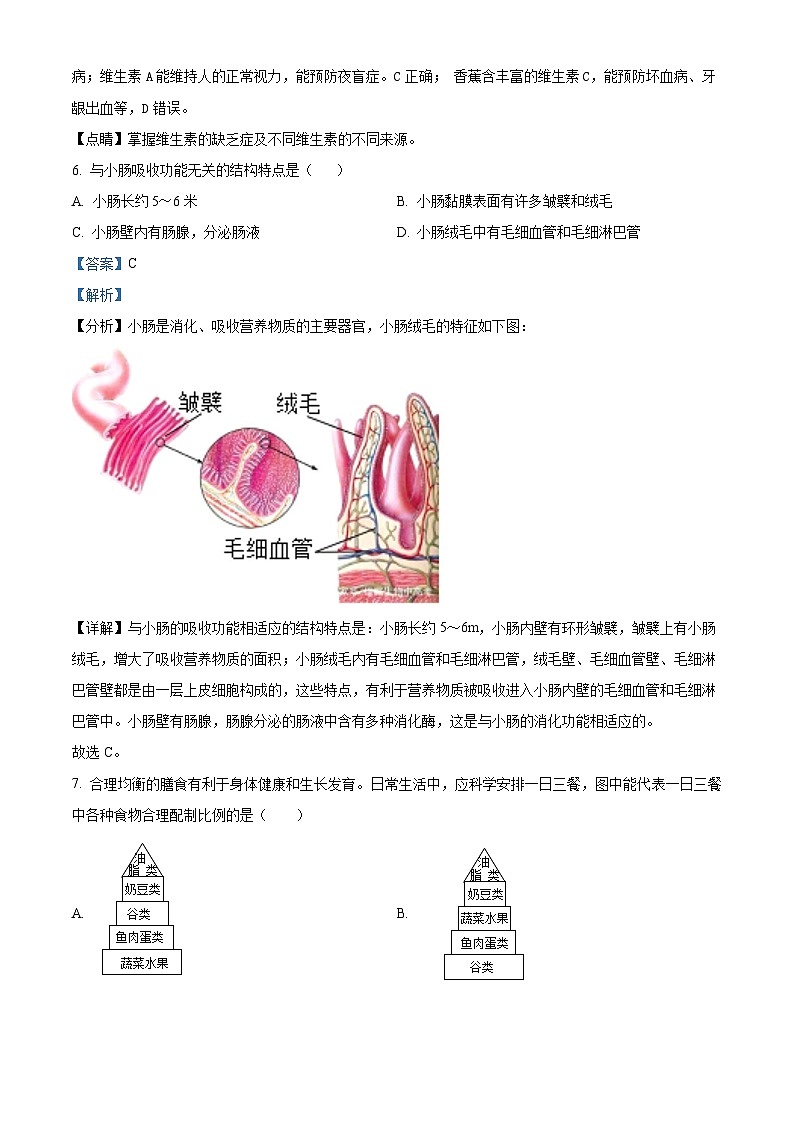 精品解析：山东省齐河县刘桥镇中学2023-2024学年七年级下学期第一次月考七年级生物试题（解析版）第3页