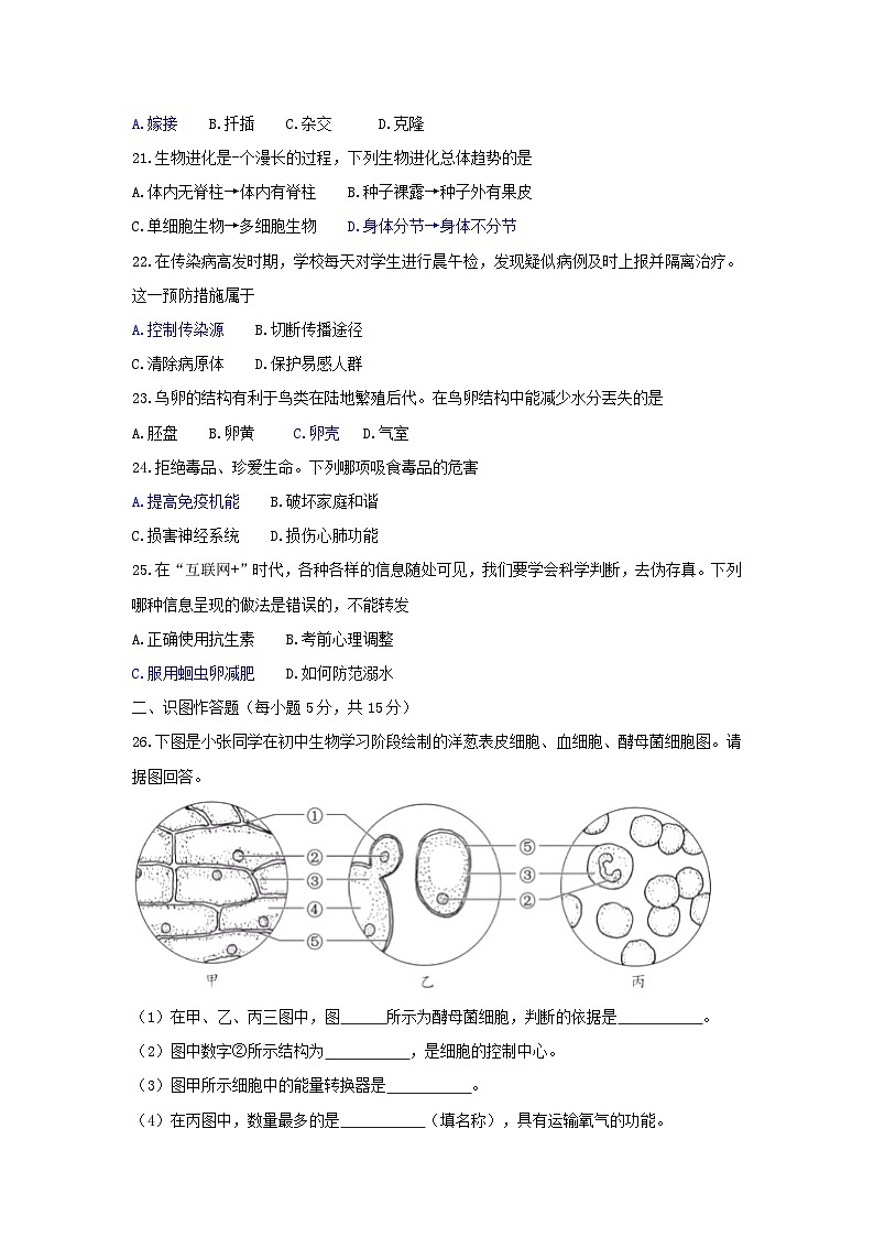 【全套精品专题】初中生物复习专题精讲湖南省长沙市中考生物模拟试题（word版，含答案）03