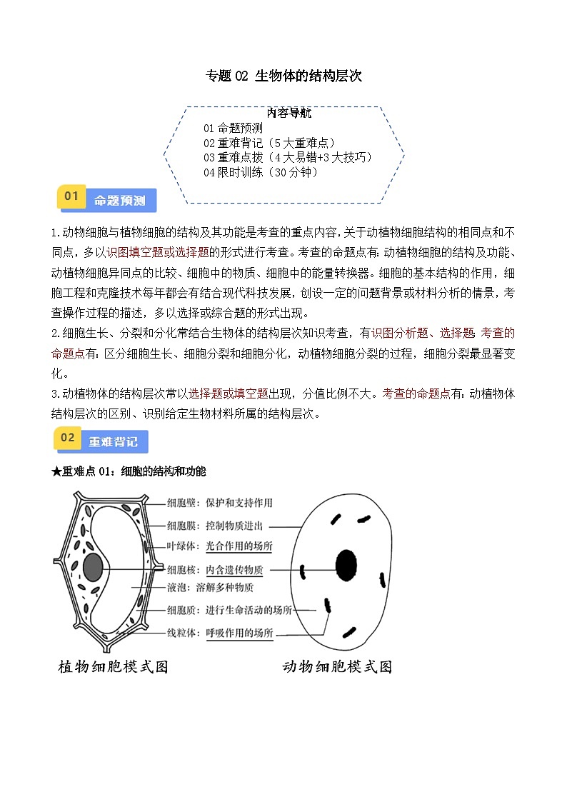 专题02 生物体的结构层次（原卷版）第1页