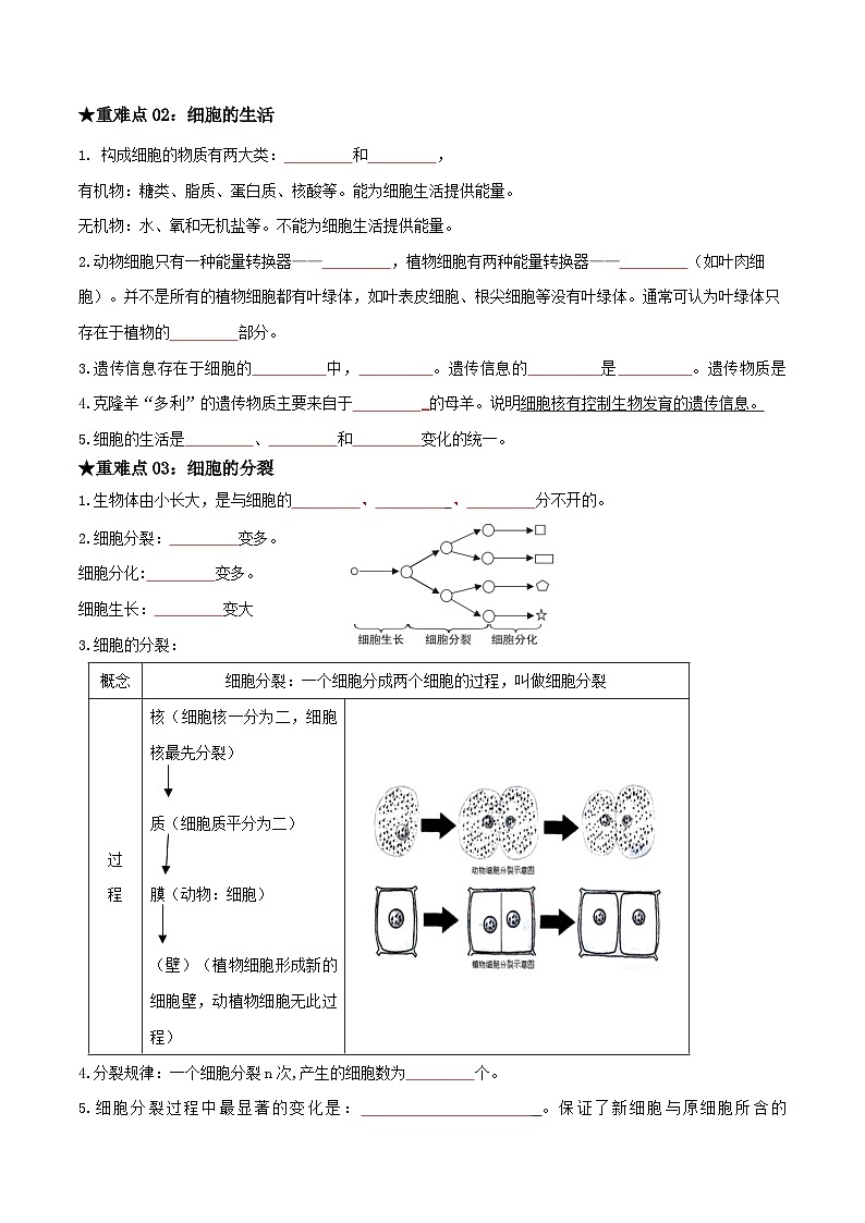 专题02 生物体的结构层次（原卷版）第2页