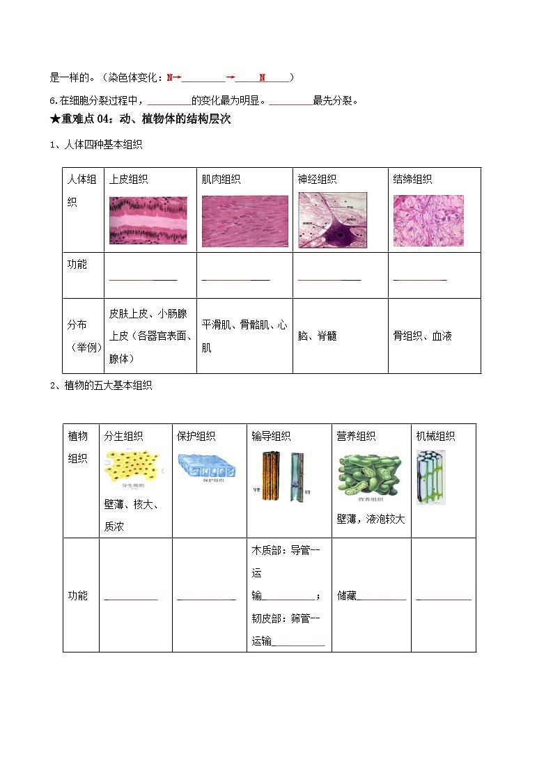 专题02 生物体的结构层次（原卷版）第3页
