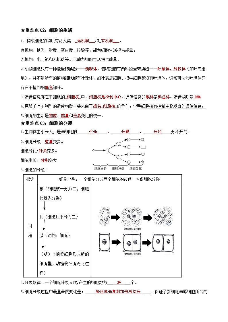 专题02 生物体的结构层次（解析版）第2页