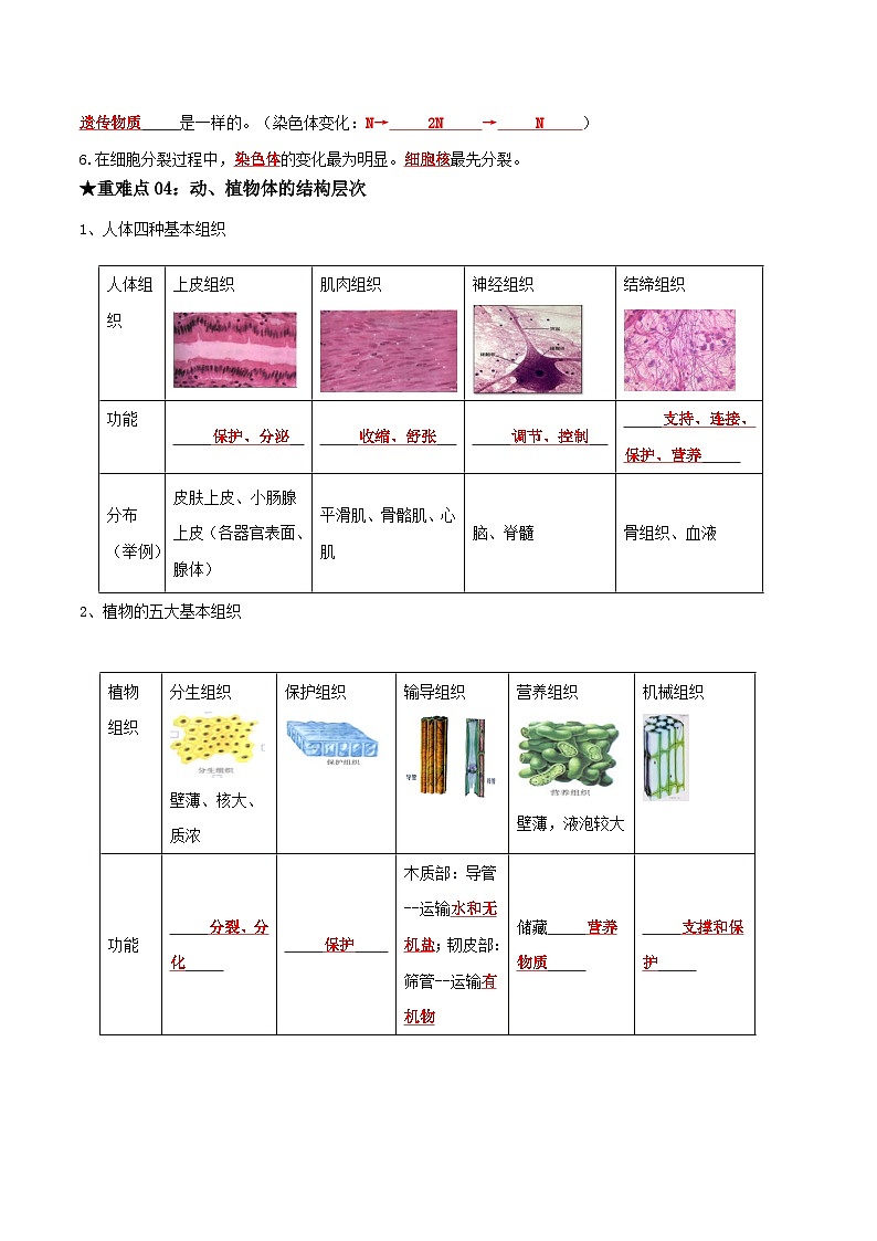 专题02 生物体的结构层次（解析版）第3页