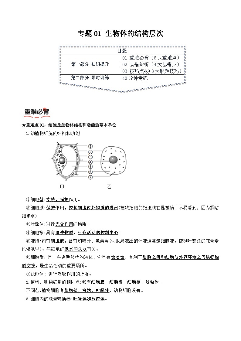 专题01 生物体的结构层次（原卷版）第1页