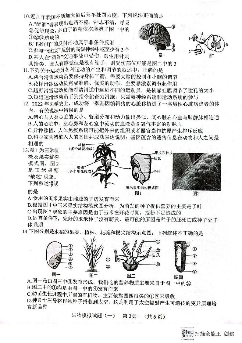 2024年山东省菏泽市东明县初中学业水平模拟生物试题第3页
