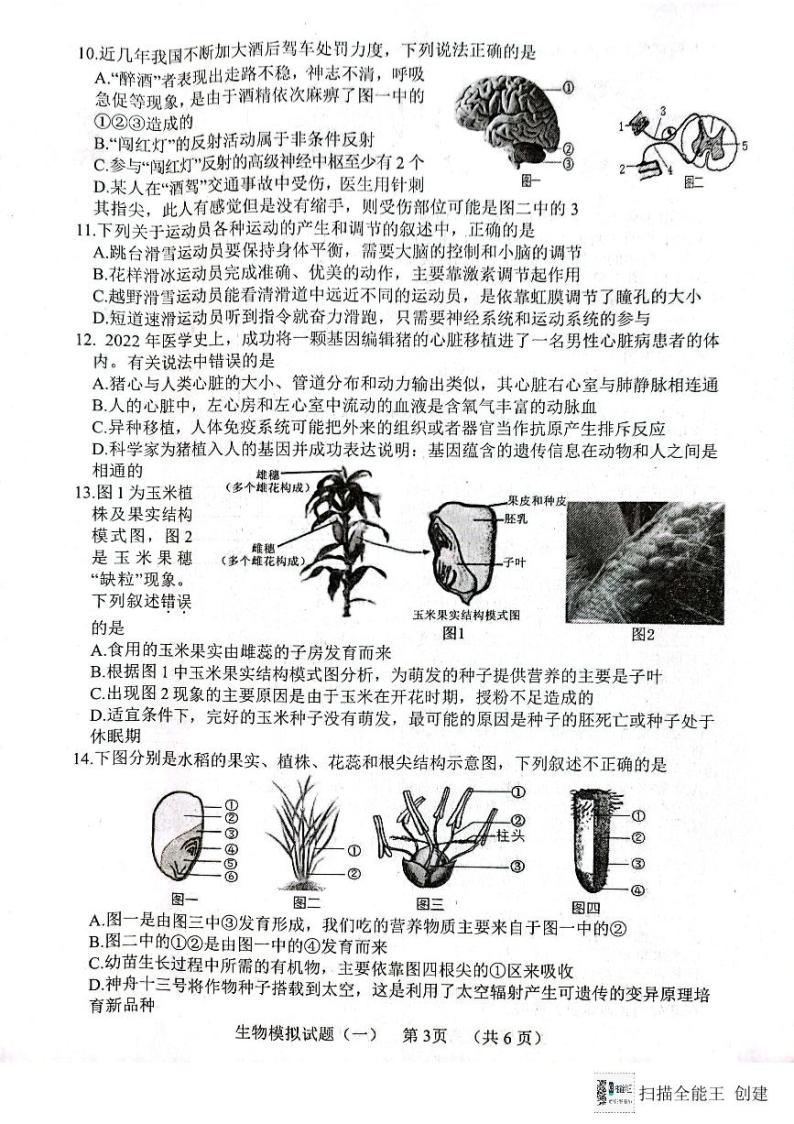 2024年山东省菏泽市东明县初中学业水平模拟生物试题03