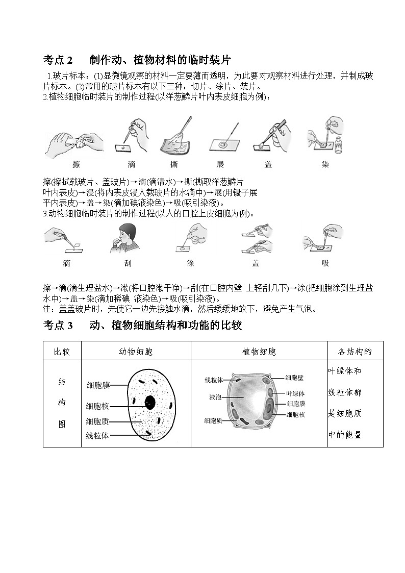 中考生物一轮复习知识点总结02