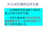 苏教版生物八年级下册 第二十一章 第一节 生物的无性生殖_-课件