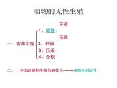 苏教版生物八年级下册 第二十一章 第一节 生物的无性生殖_-课件