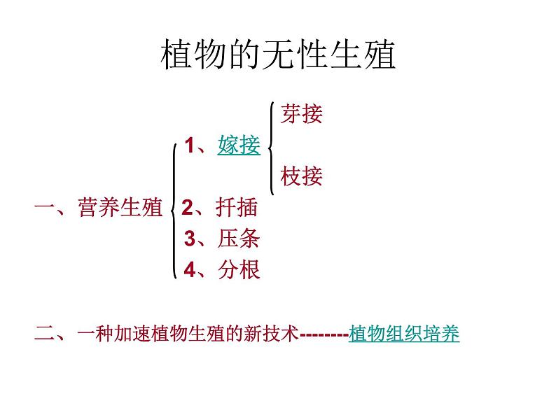 苏教版生物八年级下册 第二十一章 第一节 生物的无性生殖_-课件第4页