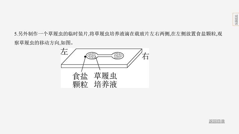 实验突破--2024年中考 北京版初中生物 一轮复习课件04