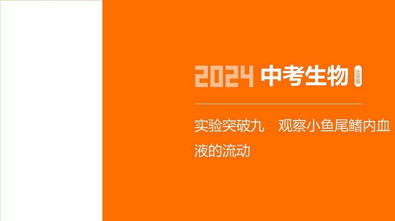 实验突破--2024年中考 北京版初中生物 一轮复习课件01