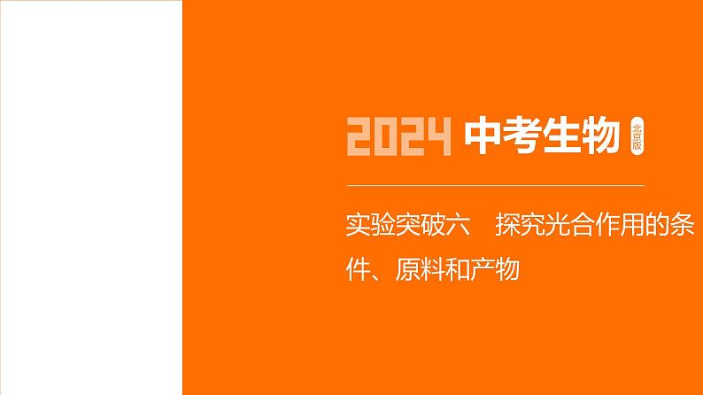 实验突破--2024年中考 北京版初中生物 一轮复习课件01