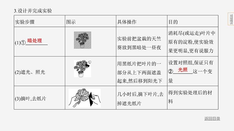 实验突破--2024年中考 北京版初中生物 一轮复习课件04