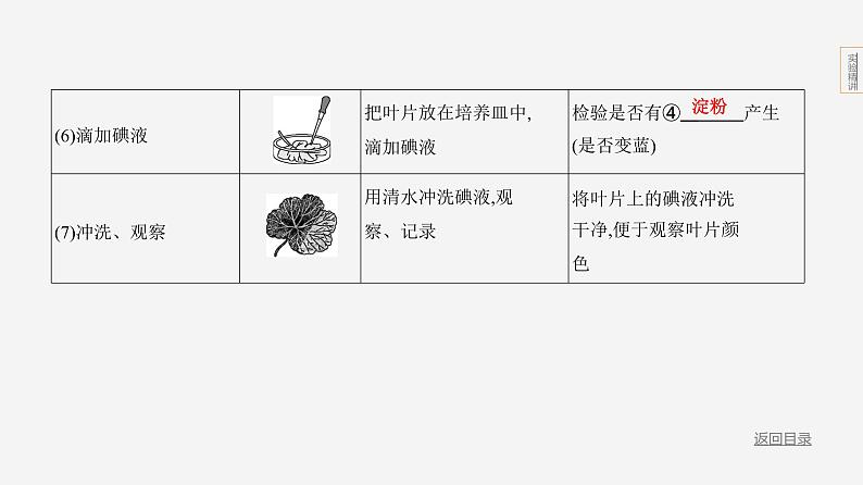 实验突破--2024年中考 北京版初中生物 一轮复习课件06