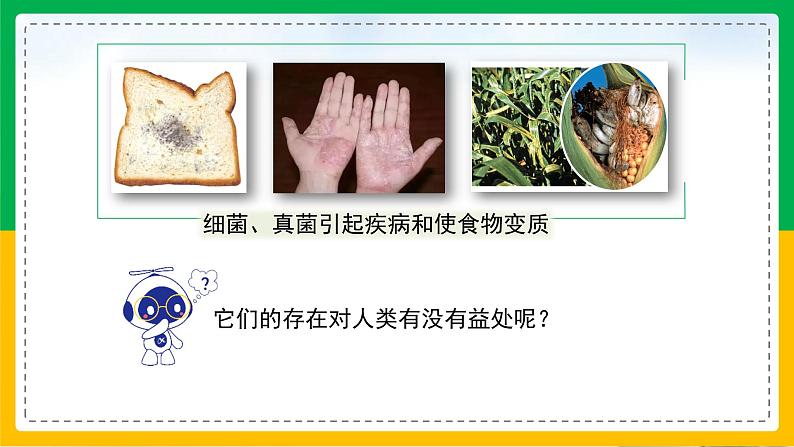 5.4.5+人类对细菌和真菌的利用（教学课件）-2023-2024学年八年级生物上册同步精品课堂（人教版）第3页