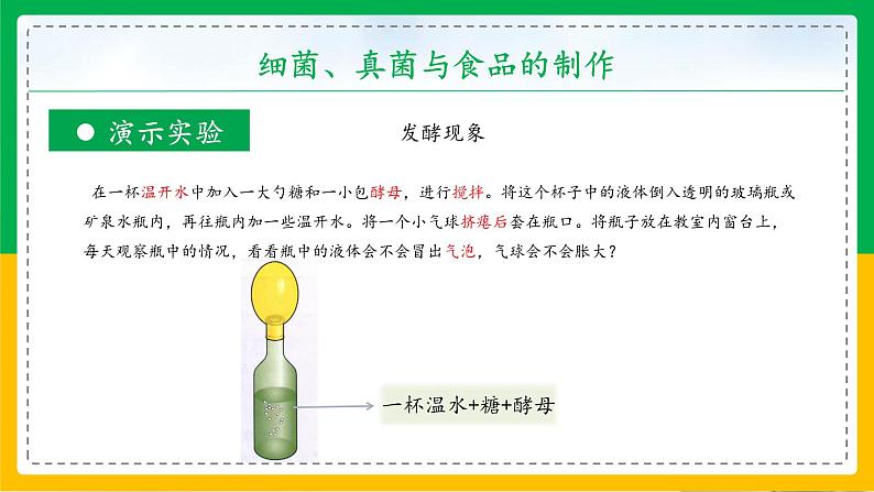 5.4.5+人类对细菌和真菌的利用（教学课件）-2023-2024学年八年级生物上册同步精品课堂（人教版）第4页