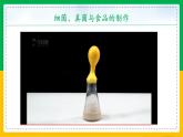 5.4.5+人类对细菌真菌的利用（同步课件+同步练习）-2023-2024学年八年级生物上册同步精品课堂（人教版）