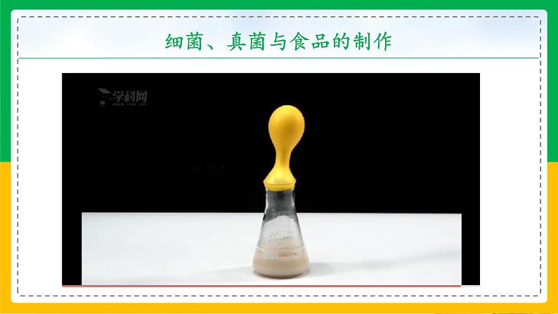 5.4.5+人类对细菌和真菌的利用（教学课件）-2023-2024学年八年级生物上册同步精品课堂（人教版）第5页