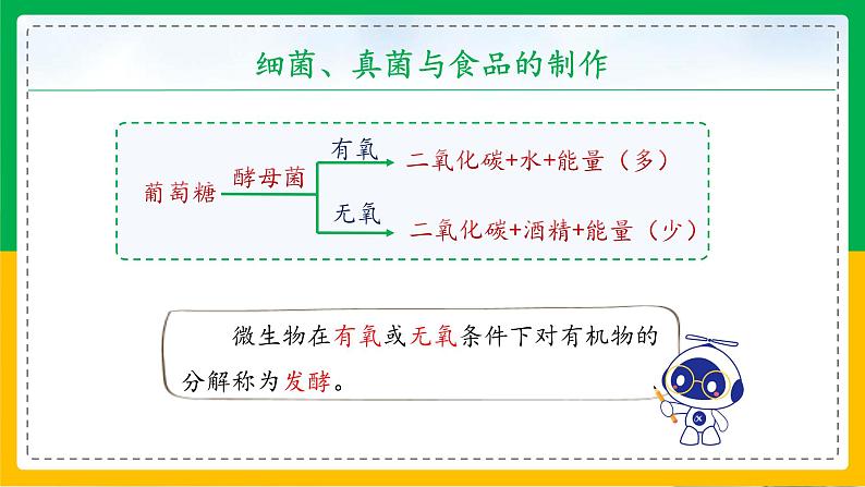 5.4.5+人类对细菌和真菌的利用（教学课件）-2023-2024学年八年级生物上册同步精品课堂（人教版）第7页