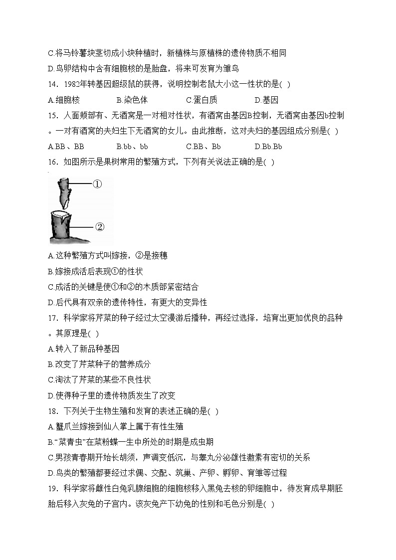 河北省沧州市泊头市2022-2023学年八年级下学期期中生物试卷(含答案)第3页