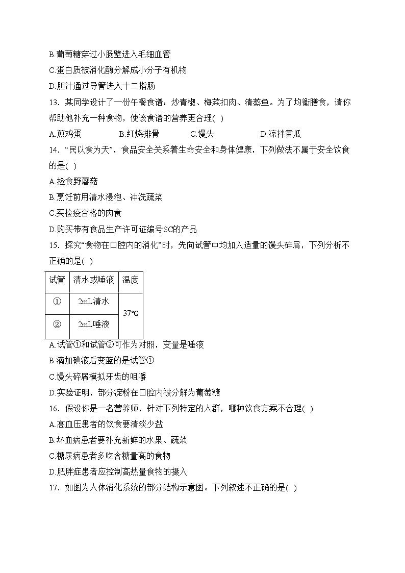河北省沧州市泊头市2022-2023学年七年级下学期期中生物试卷(含答案)03