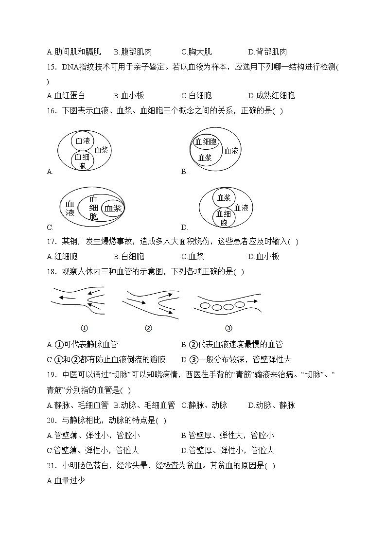 河北省邯郸市永年区2022-2023学年七年级下学期期中生物试卷(含答案)03