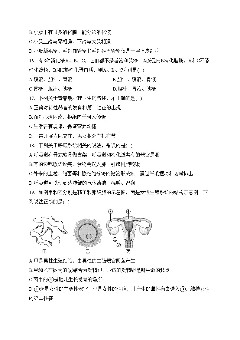 河北省石家庄市平山县外国语中学2022-2023学年七年级下学期期中生物试卷(含答案)第3页