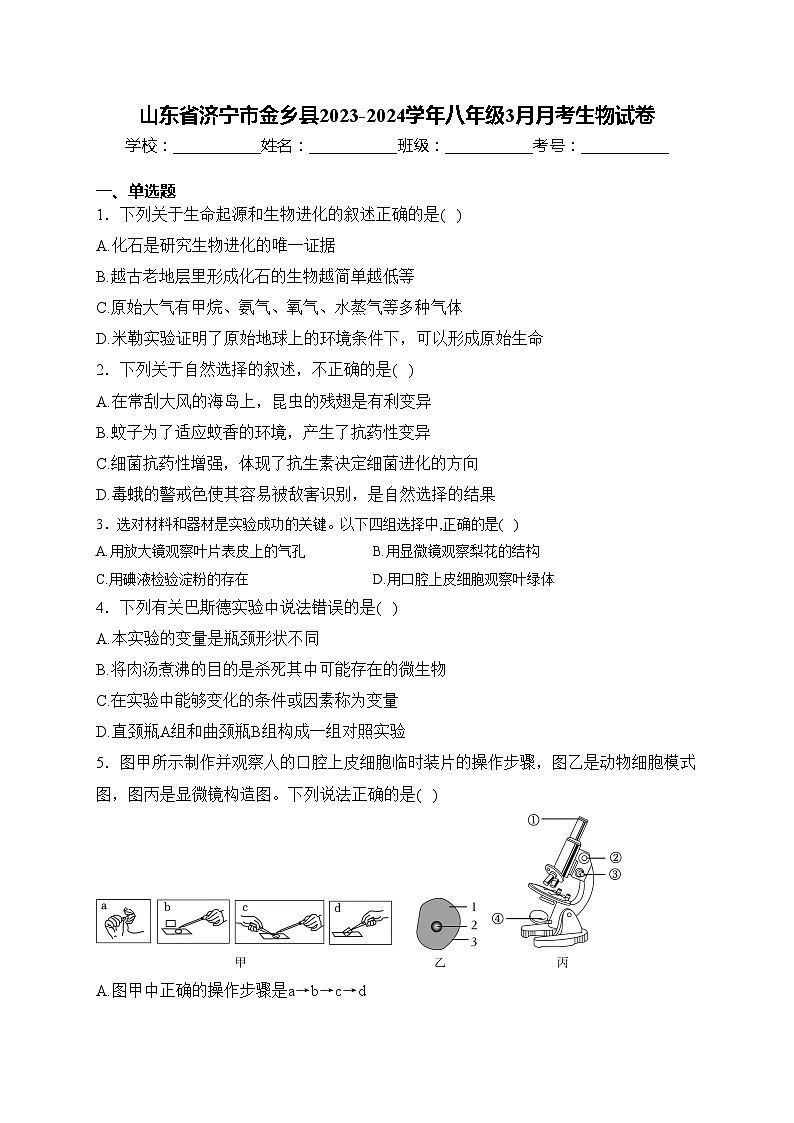 山东省济宁市金乡县2023-2024学年八年级3月月考生物试卷(含答案)第1页