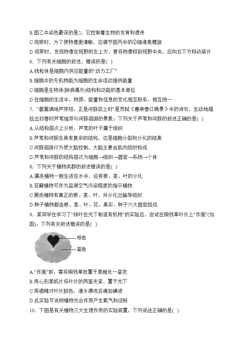 山东省济宁市金乡县2023-2024学年八年级3月月考生物试卷(含答案)第2页