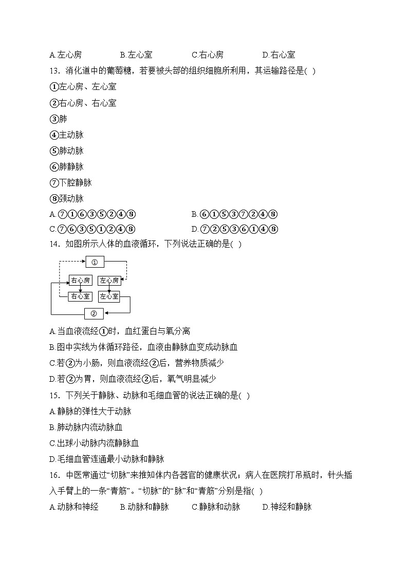 山东省枣庄市市中区2022-2023学年七年级下学期期中生物试卷(含答案)03