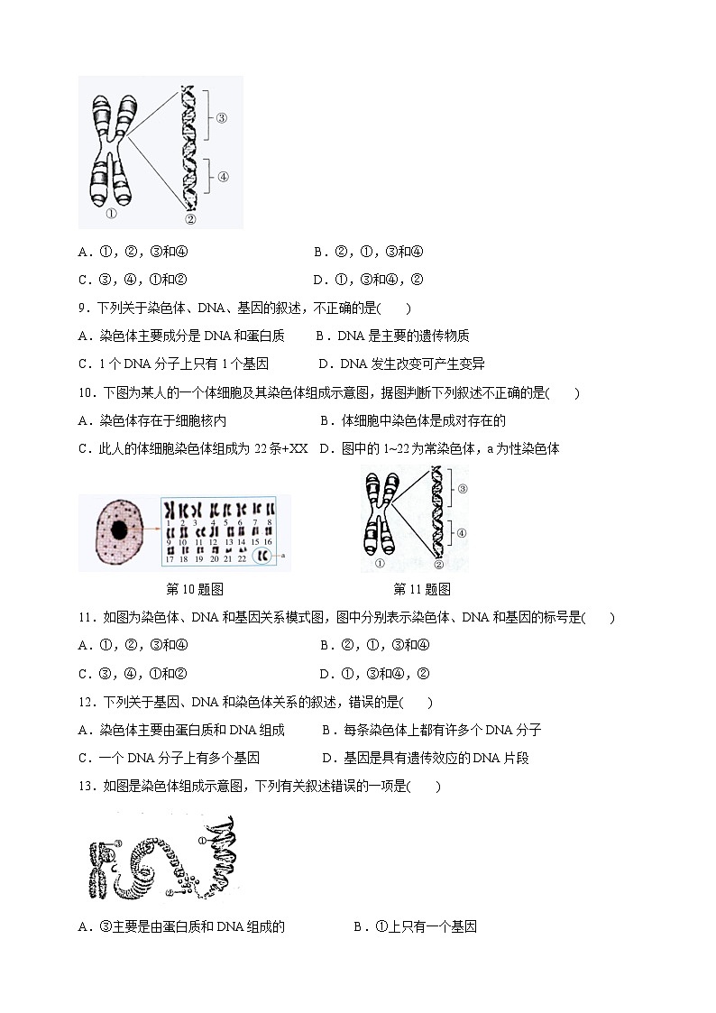 22.1 生物的遗传-苏科版八年级下册生物同步精品练习（含答案解析）02