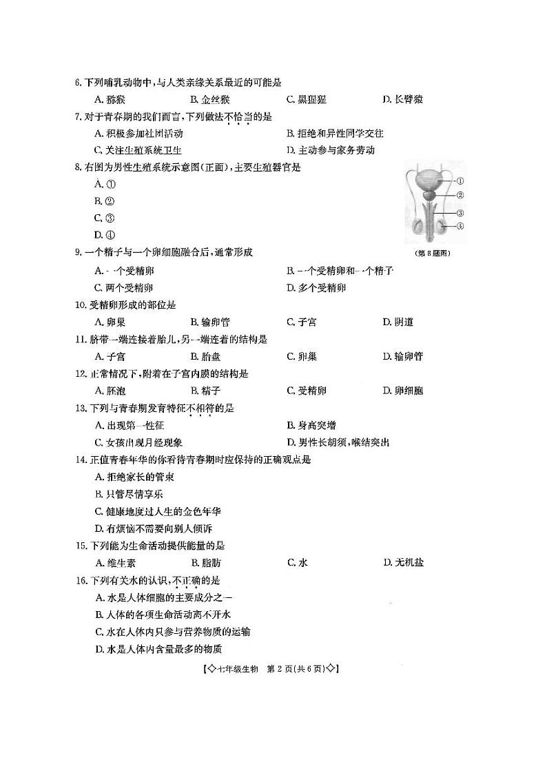 陕西省西安市灞桥区东城第二学校2023-2024学年七年级下学期3月月考生物试题第2页